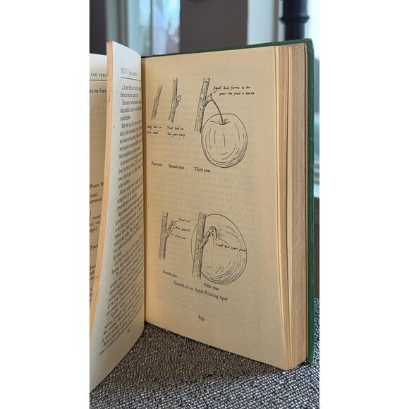 Vintage 1948 America’s Garden Book – Scribner’s Sons Illustrated Gardening Guide - Picture 9 of 11